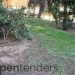 Entregamos Documentación: SERVICIO DE MANTENIMIENTO DE JARDINES Y ZONAS VERDES, para el AYUNTAMIENTO DE YECLA, por importe de 0,68 M€.